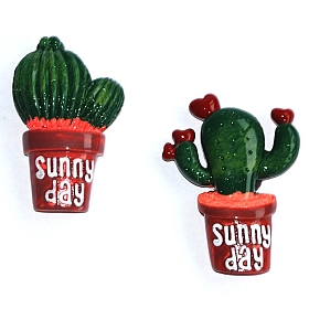 Afbeelding cactusmagneetjes