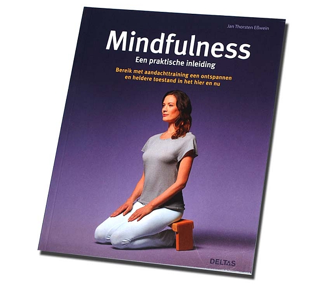 Mindfulness, een praktische inleiding